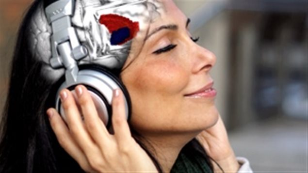 160630_4x6fw_cerebro-musica_sn635