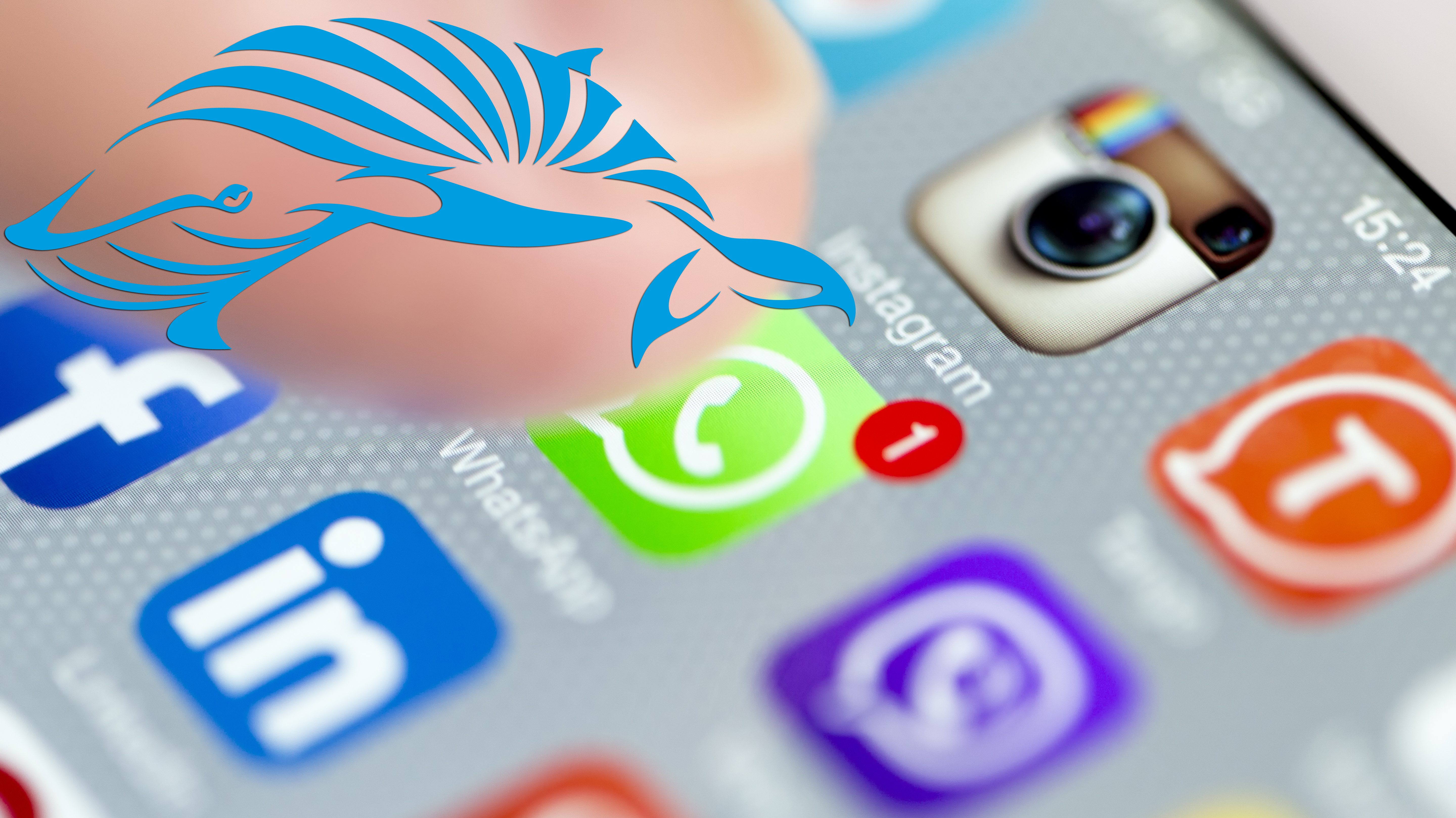 Ballena Azul Alarma Mundial Por Juego En Las Redes Sociales Rci Espanol