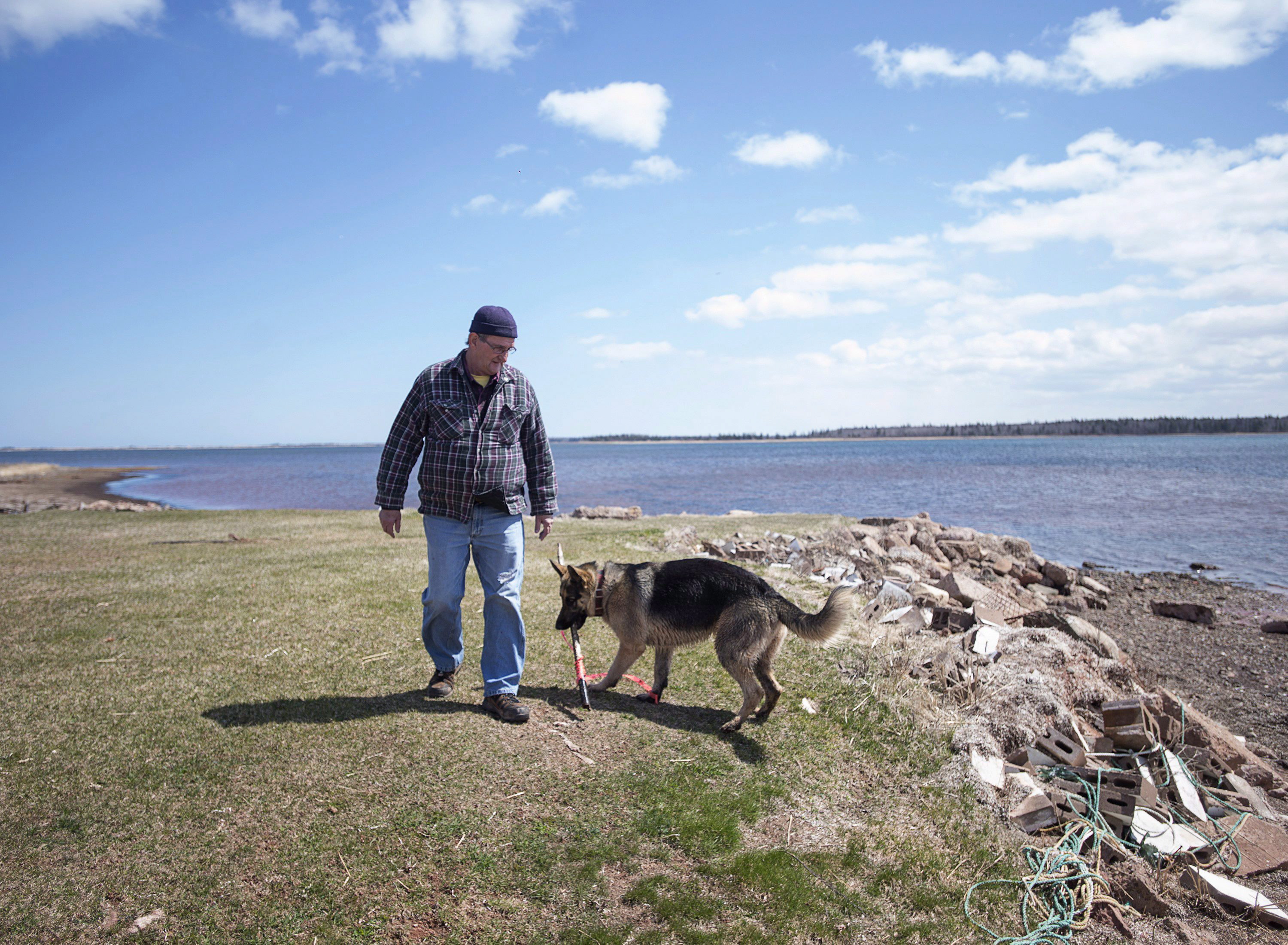 Dave Haley y un perro de barrio pasean a lo largo de la orilla en Lennox Island, P.E.I. el lunes, 25 de abril de 2016. El aumento del nivel del mar y la erosión costera amenazan a la comunidad Mi’Kmaq, que ha sufrido una importante pérdida de masa terrestre en los últimos 50 años. ©The Canadian Press/Andrew Vaughan
