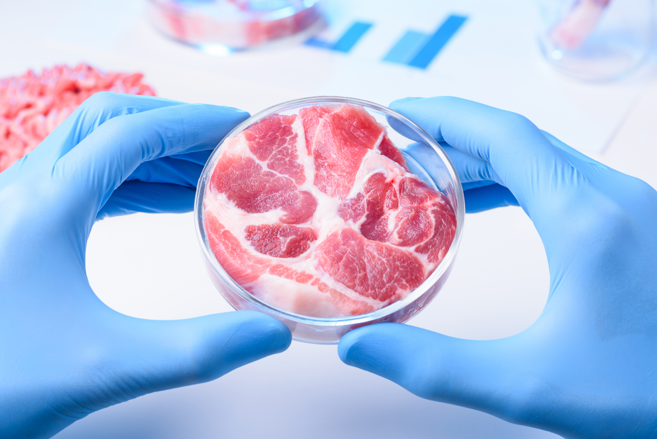 La carne cultivada en laboratorio podría ser peor para el clima que el  ganado tradicional – RCI | Español