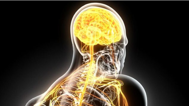 Esclerosis múltiple: investigadores encuentran nueva pista para frenarla - RCI | Español