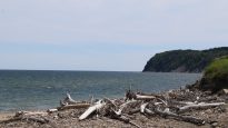 Perce1