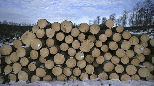 Future batteries? Photo: Fredrik Sandberg/Scanpix.