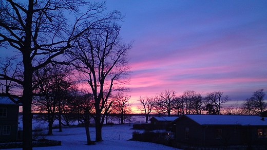 Vitamin D is often referred to as the sunshine vitamin. Photo: Raina Medelius. Radio Sweden. 