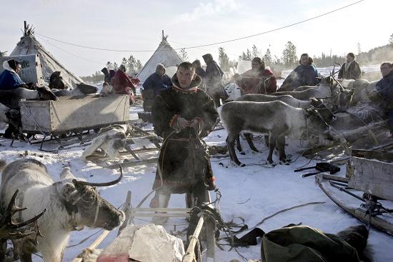 A Nenets reindeer herder in Russia's Far North. The Russian Association of Indingeous Peoples of the North, Siberia and the Far East represents 41 ethnic groups across Russia. Photo: TATYANA MAKEYEVA / AFP.