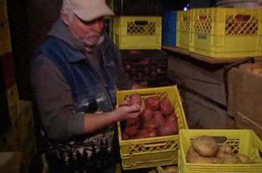 Growing potatoes north of 60. CBC.ca