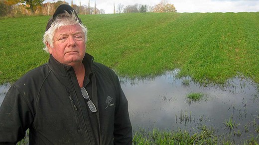 Farmer Sten Cantoni cannot spread manure over his flooded fields. Photo: David Svanberg/Swedish Radio
