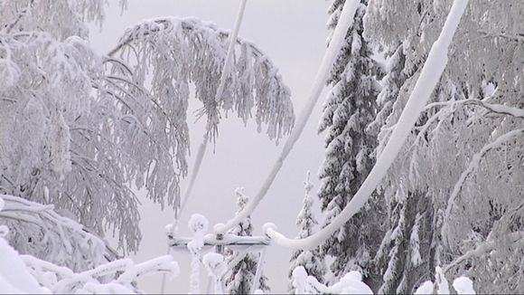 Image: YLE Keski-Suomi / Petteri Juuti  