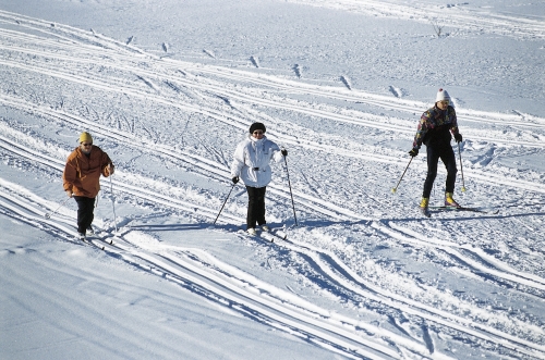 cross-country skiing