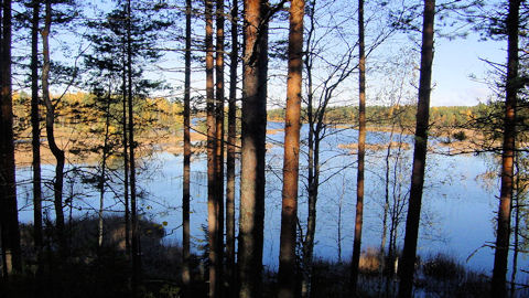 Jokela Lake. Photo Eddy Hawkins