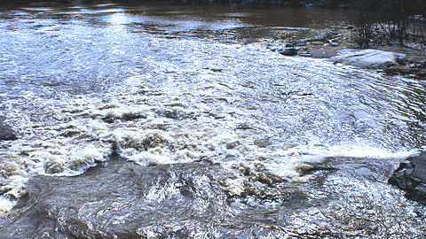 Rapids. Photo Eddy Hawkins