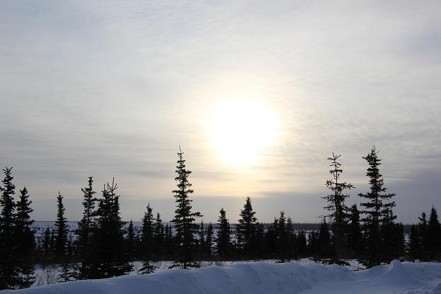 View of Great Bear Lake from Deline's main road - no broccoli in site. Photo: Eilís Quinn, Radio Canada International. 