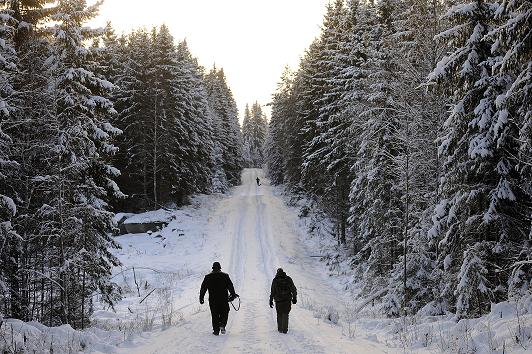Hunters attend a wolf hunt on January 2, 2010 near Kristinehamn, Sweden. Photo: AFP PHOTO/ OLIVIER MORIN.  