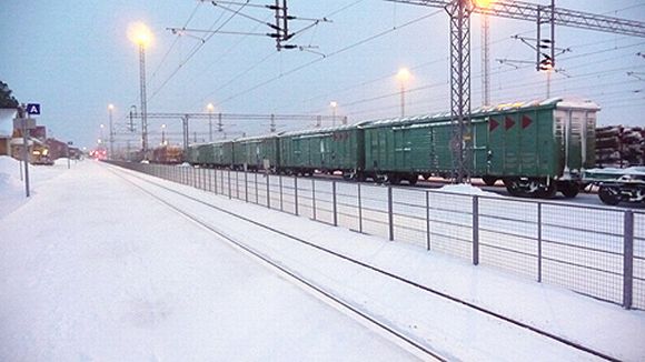 Wild moose and reindeer caused delays on numerous trains throughout Lapland last night. (Archive picture) Image: Kyösti Vaara / Yle  