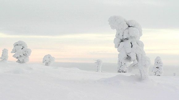 Oloustunturi, Finland. December 2012. Image: Yle  