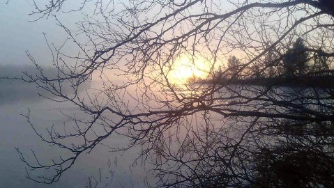 A bleak winter day.  Image: Orvo Öhman. YLE News.