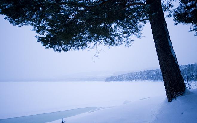Landscape in Sweden's Lapland province. Photo: AFP/Jonathan Nackstrand
