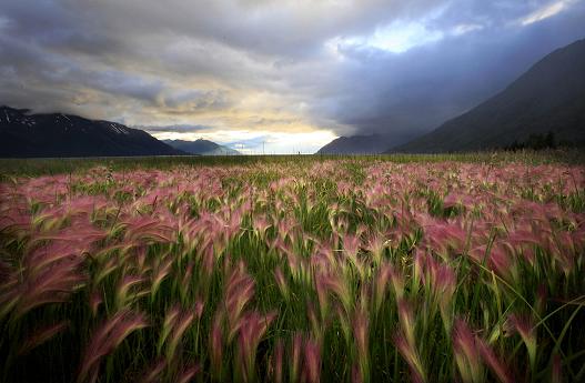 Storm clouds clear over Cook Inlet in 2010. Photo: Charles Rex Arbogast, AP Photo.