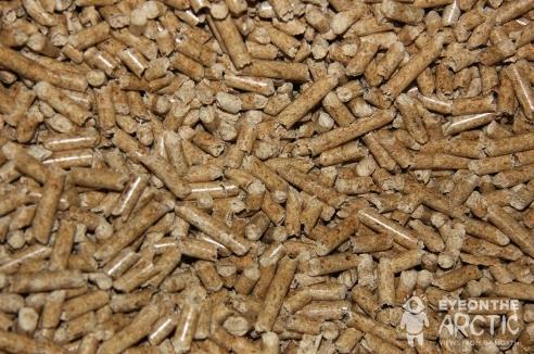 Wood pellets. Photo: Eilís Quinn