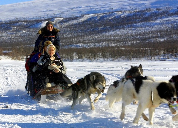 Sweden_dog_sled