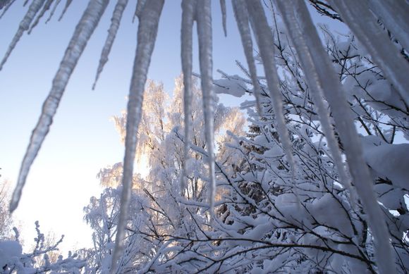 A wintry cold snap will freeze the progress of spring-like conditions this weekend. Image: T. Pekonen, Yle News. 