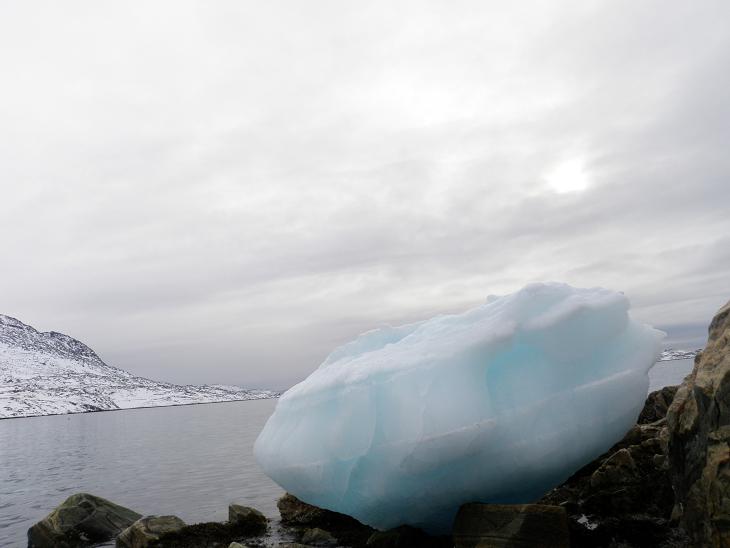 Masses of ice are washed up onto Nuuk's beaches by the tides, and then disappear the next day. Photo: Eilis Quinn