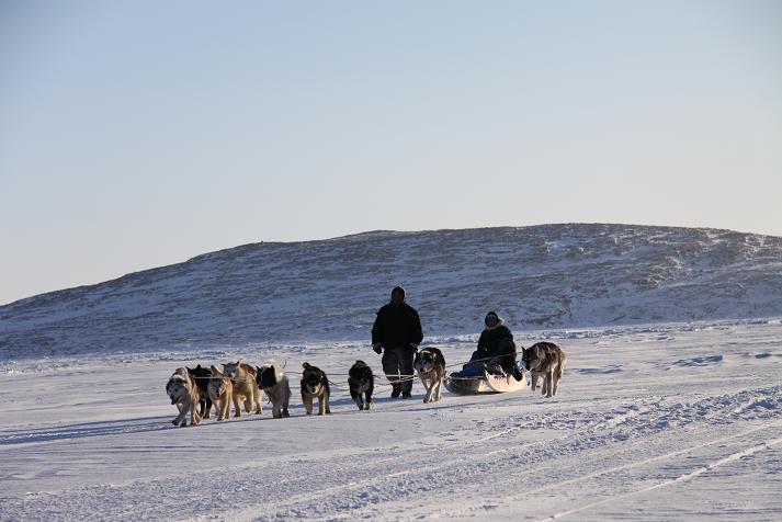 Sled dogs travelling on ice. Photo Levon Sevunts