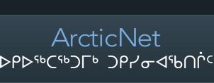 Arctic Net Logo