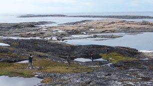 Inuit field guides conduct surveys for eider duck nests in northern Canada. Inuit communities in both Canada and Greenland are taking part in avian cholera monitoring programs. (Sam Iverson/Environment Canada)