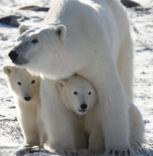 Photo: Jonathan Hayward/Canadian Press