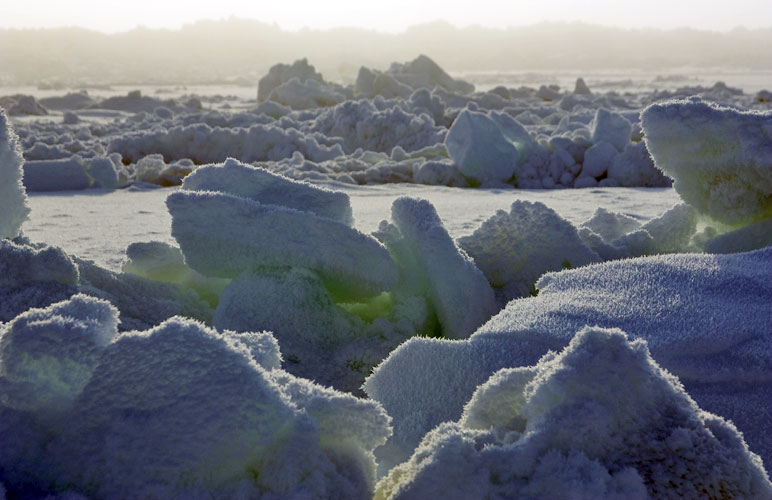 Sea ice on the Chukchi Sea near Barrow, Alaska. This image was taken during the OASIS (Ocean - Atmosphere - Sea Ice - Snowpack) field project. Part of International Polar Year, OASIS tackled a number of standing questions in polar chemistry, with the emphasis on the life cycle of pollutants that drift into the Arctic. Photo courtesy: University Corporation for Atmospheric Research