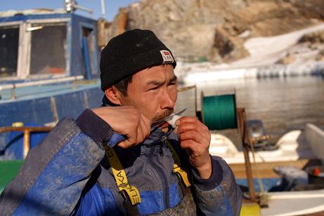 An Inuit fisherman snacks on recently caught halibut on a boat just off the shore from the town of Ilulissat, Greenland. Photo: AFP. . 