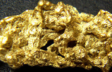 A gold nugget mined from the Kuskokwim Mountains. Photo: State of Alaska. Alaska Dispatch 