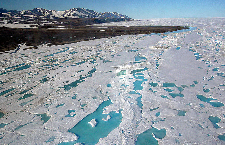 Photo courtesy Alaska Dispatch 