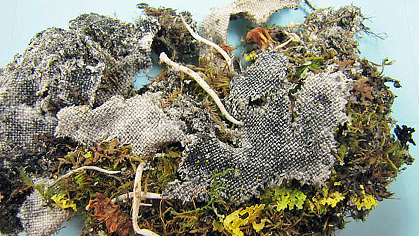 A piece of fabric is among the artifacts connected with Sir John Franklin's 1845 polar mission that were found this summer on King William Island in Nunavut. (Brian Case)