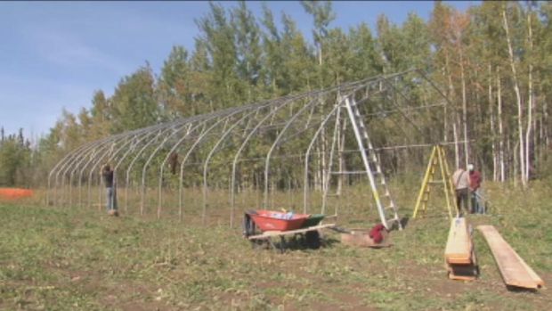 The Hay River community garden should be ready for planting next spring. (Jacob Barker/CBC )