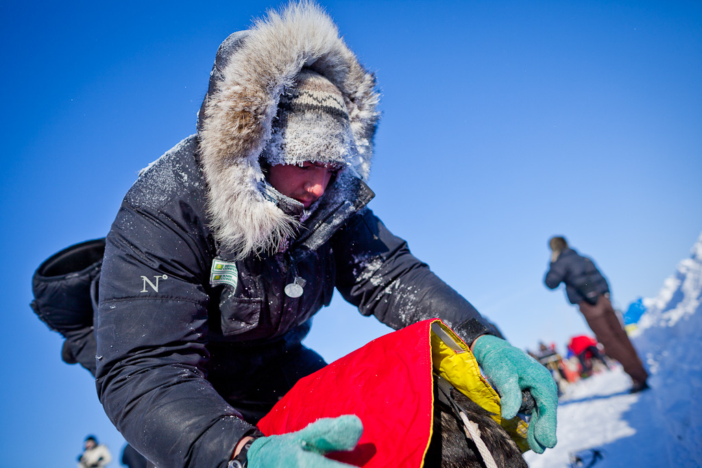 Pete Kaiser tends to his dogs in Unalakleet on Sunday, March 11, 2012. Loren Holmes photo. Alaska Dispatch. 