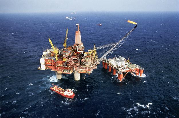 What kind of birds visit your oil rig? STF / SCANPIX SWEDEN / AFP