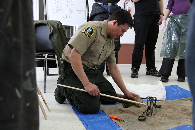 Local wildlife officer explains how to handle and prepare a marten skin after trapping. Photo: Eilís Quinn, Radio Canada International. 