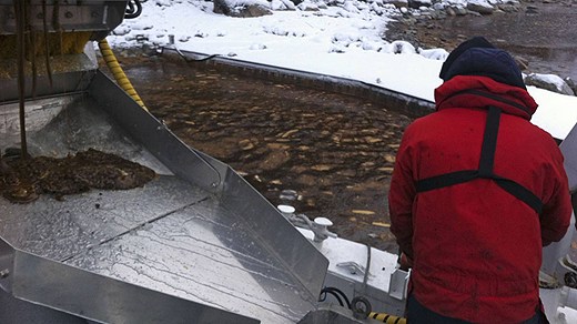 An oilspill in Sandarne. Photo: Scanpix. Radio Sweden. 