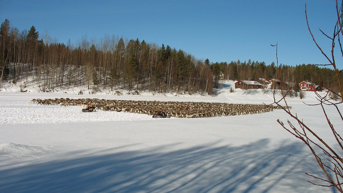 Image: Radio Sweden.