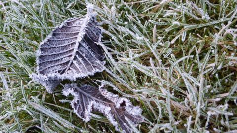 finland winter northern late month arctic eye