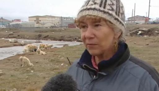 Matty McNair owns 11 dogs as part of her polar outfitting business. Her dogs have been let loose four times. Image: CBC Video