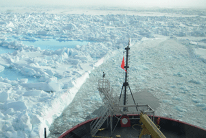 The ICESCAPE research vessel cuts a path through the ice of the Chukchi Sea. (Gert van Dijken)
