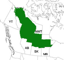 A map of snow cover data, illustrated in green, where earlier spring melts have resulted in declining boreal duck populations. (Stuart Slattery)