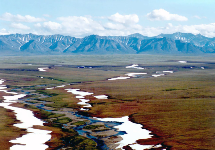 Alaskan tundra in summer – very boggy. U.S. Fish & Wildlife Service.