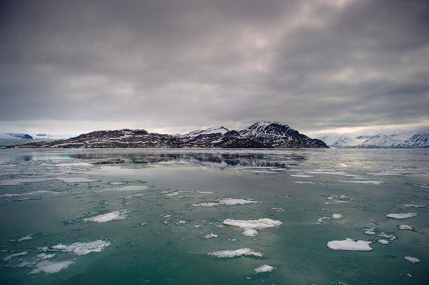 View of the Norvegian fjord Kongsfjord outside the scientist base of Ny-Alesund, one of Svalbard's permanent settlements, on June 5, 2010. AFP PHOTO / MARTIN BUREAU 