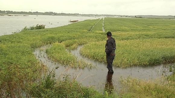 Flooding has hit many farmers' low-lying fields. Image: Pekka Loukkola / Yle  