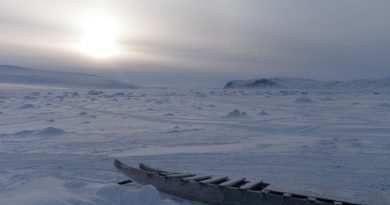 Sea ice at dusk in Clyde River, Nunavut. Photo Eilís Quinn.