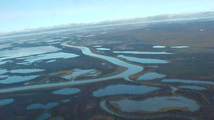 Reindeer-grazing reserves near the communities of Inuvik and Tuktoyaktuk in the Mackenzie Delta could be open to bidding by companies who want to explore for oil and gas. (CBC)